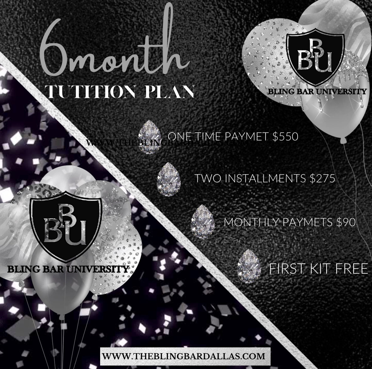 BBU 6 Month Tuition Plan